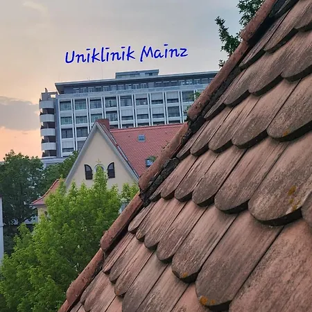 Appartement Schoene Ferienwohnung An Der Uniklinik Mainz-schlesisches Viertel *